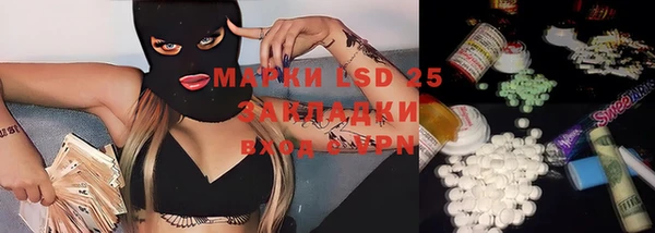 шишки Алзамай