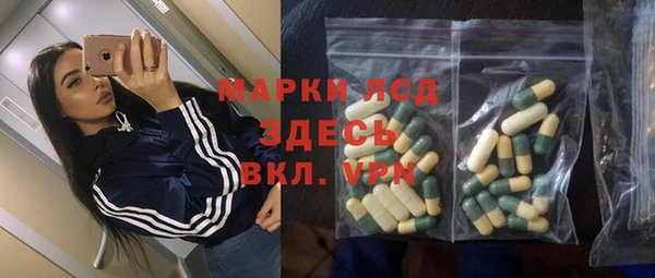 шишки Алзамай