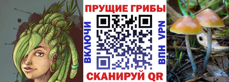 наркошоп  hydra ONION  Псилоцибиновые грибы Cubensis  Дегтярск 
